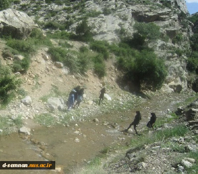 اردو به مناسبت هفته خوابگاه