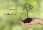 15 اسفند روز درختکاری گرامی باد.

 2